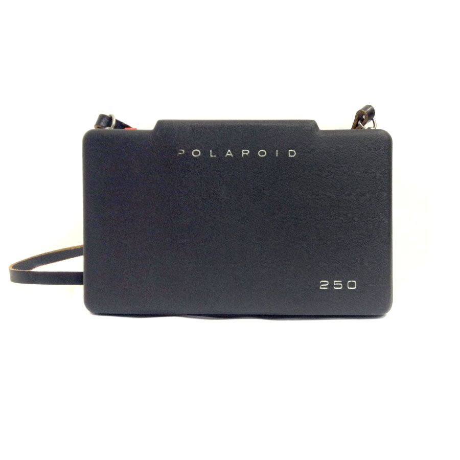 Polaroid 250